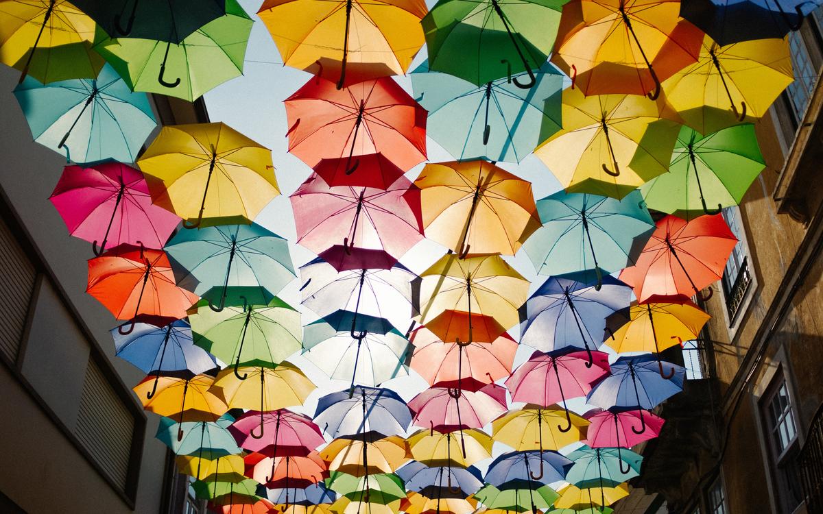 Photo by Ricardo Resende on Unsplash